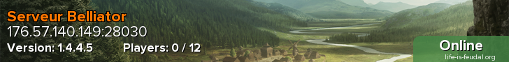 Serveur Belliator
